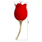 Pretty Rose Lover
