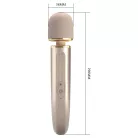 Pretty Love Interesting Massager Gold