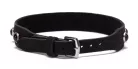 Octane Crystal Collar Hot Pink_B0O25_3