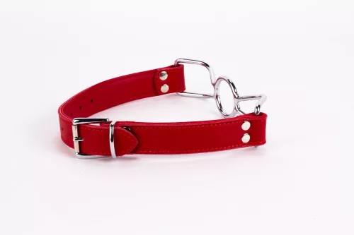 Calf Softy Leather Top and Lamb Leather Padding with Stainless Steel Mouth Piece Red