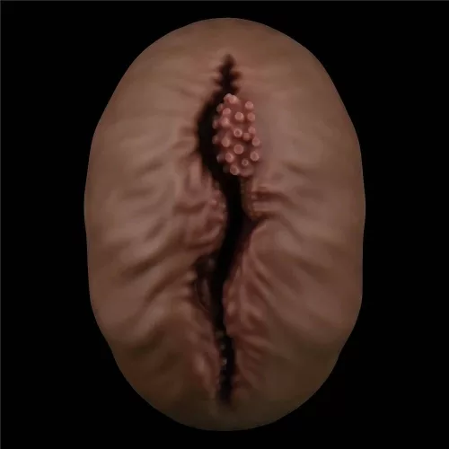 Alien's Pie Masturbator #1 Black_B15O50_3