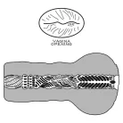 Alien's Pie Masturbator #1 Black_B15O50_3