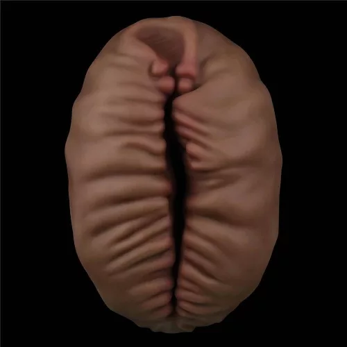 Alien's Pie Masturbator #2 Black_B15O50_3