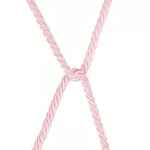 Rebellion Reign Rose Silky Bondage Rope