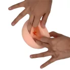 LiuliZ Anal Shape pocket pussy_B0O50_4