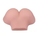 Double Hole 3D Masturbator IX