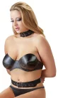Bad Kitty Neck And Hand Restraints