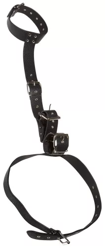 Bad Kitty Neck And Hand Restraints