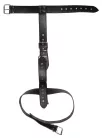 Bad Kitty Neck And Hand Restraints