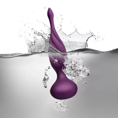Discover - Purple