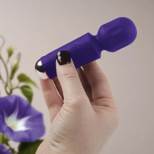 Rechargeable Mini Wand - Violet Dream