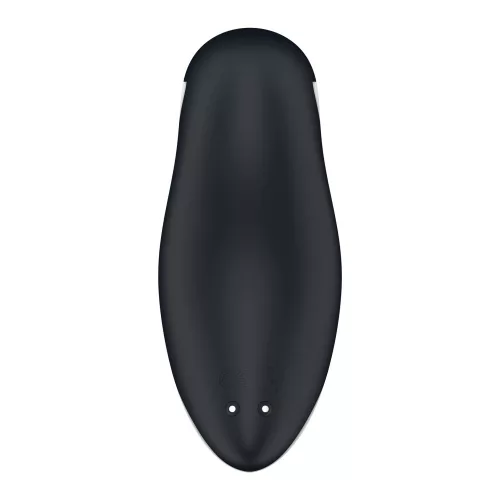Orca