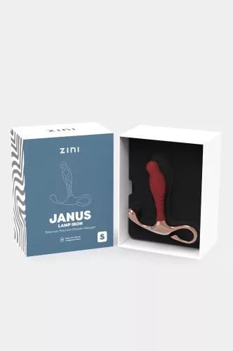 Zini Janus Lamp Iron Prostate Massager S_B15O25_4